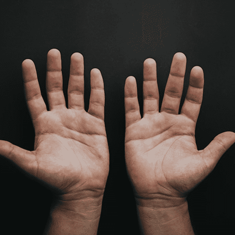 תוכן מקצועי