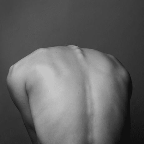 תוכן מקצועי