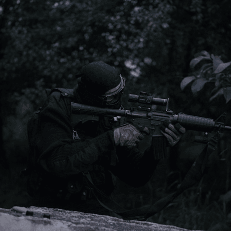 תוכן מקצועי