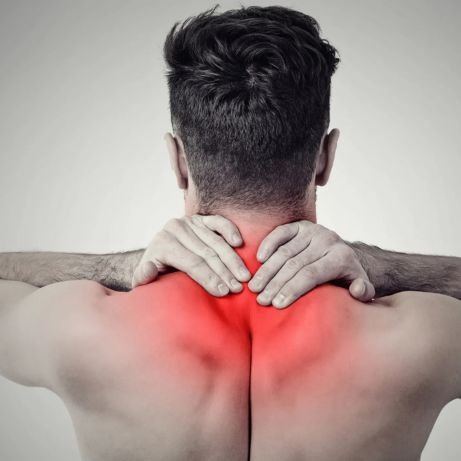 תוכן מקצועי